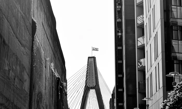 A black-and-white view of Sydney Harbour Bridge